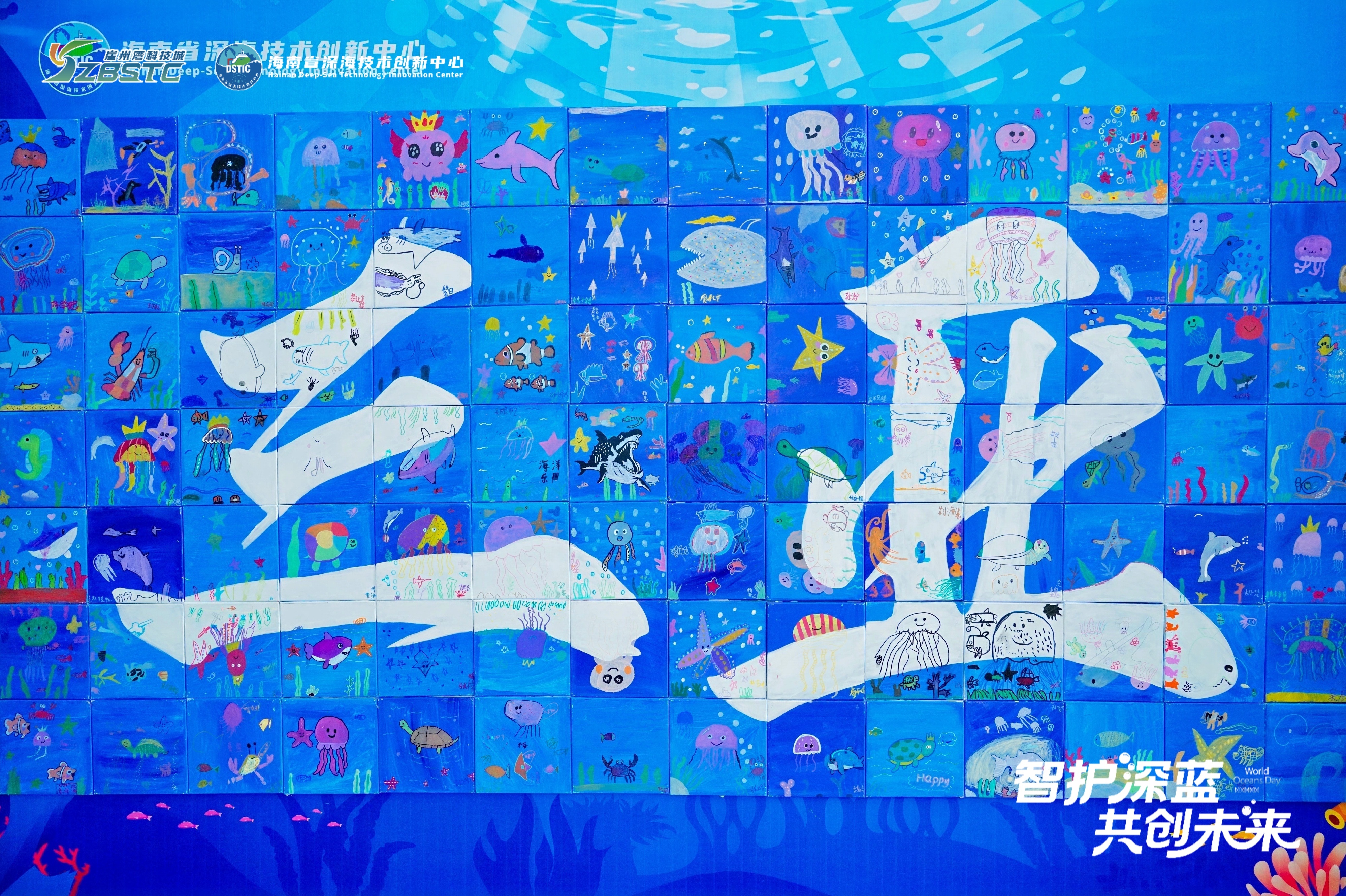 海南普惠海洋協辦“世界海洋日”活動圓滿落幕
